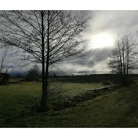 In The Moor 度假居