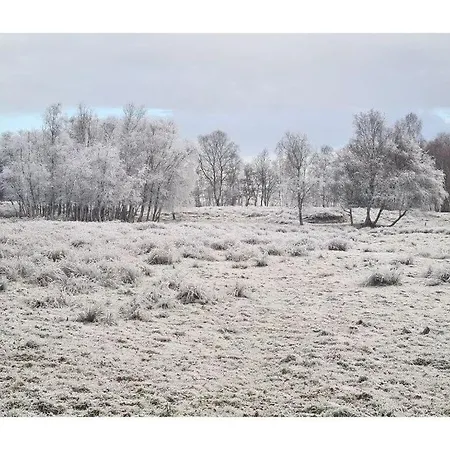 In The Moor 度假居 维斯莫尔